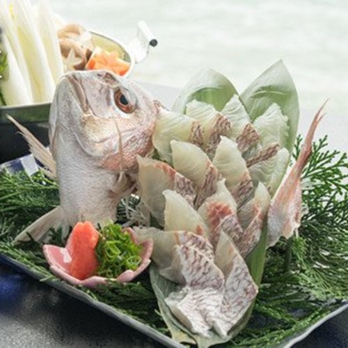 【海上ホテル】天然鳴門鯛「鯛しゃぶ」淡路野菜添え（1匹）